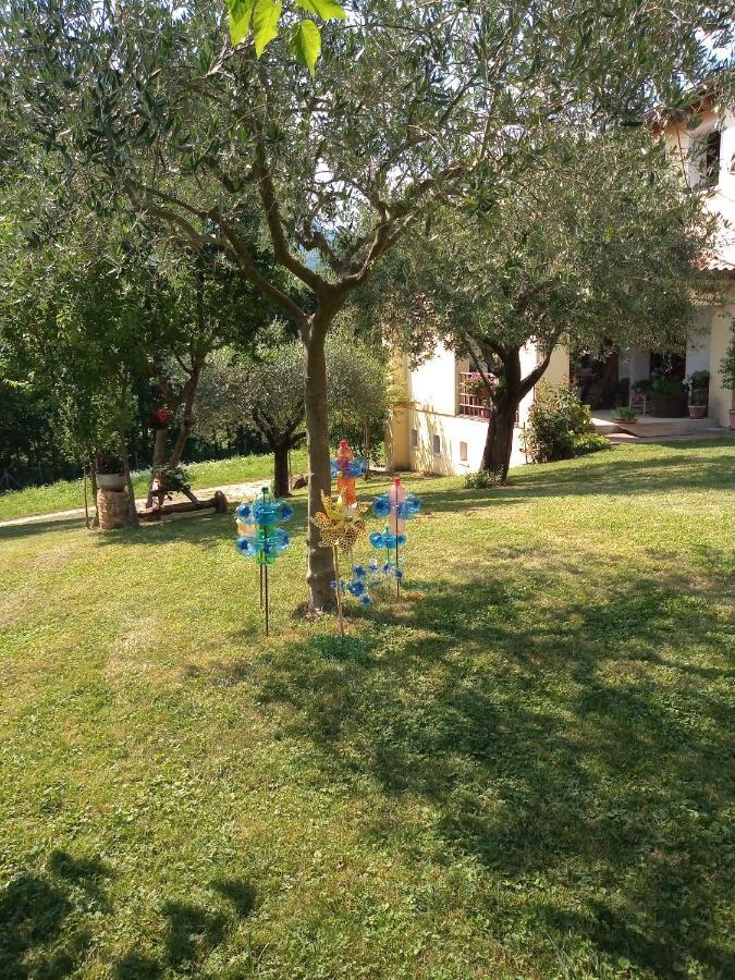 B&B Santa Fosca Pederobba ภายนอก รูปภาพ
