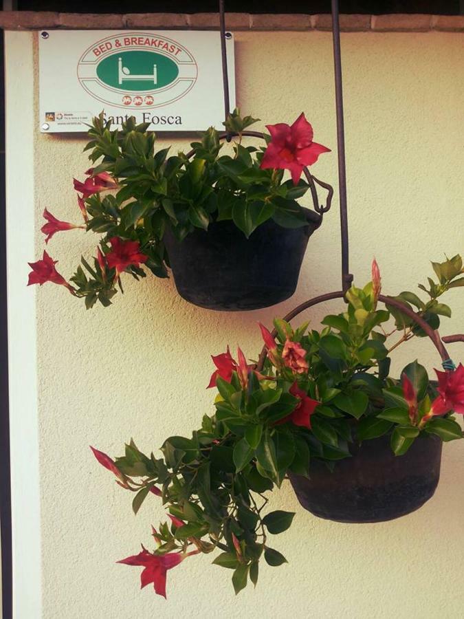 B&B Santa Fosca Pederobba ภายนอก รูปภาพ