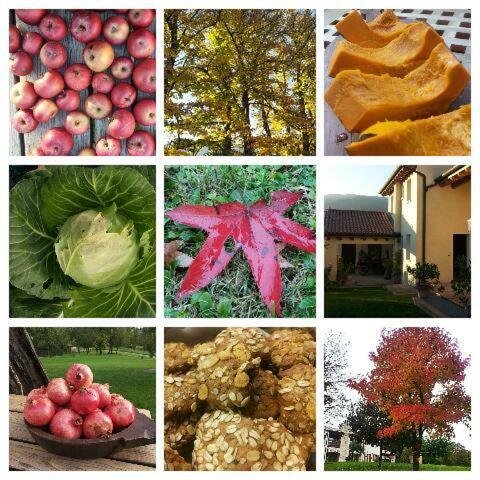 B&B Santa Fosca Pederobba ภายนอก รูปภาพ