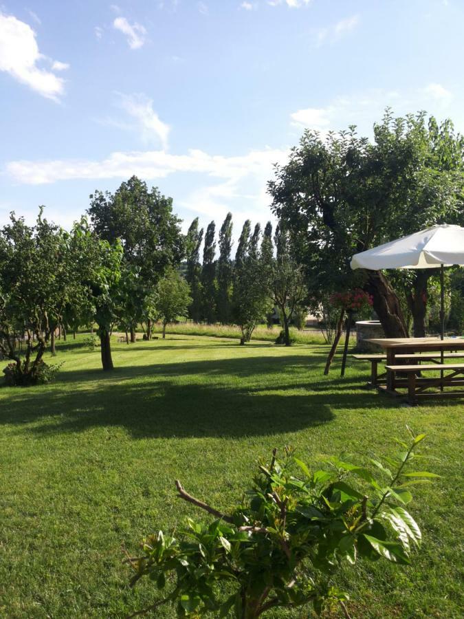 B&B Santa Fosca Pederobba ภายนอก รูปภาพ