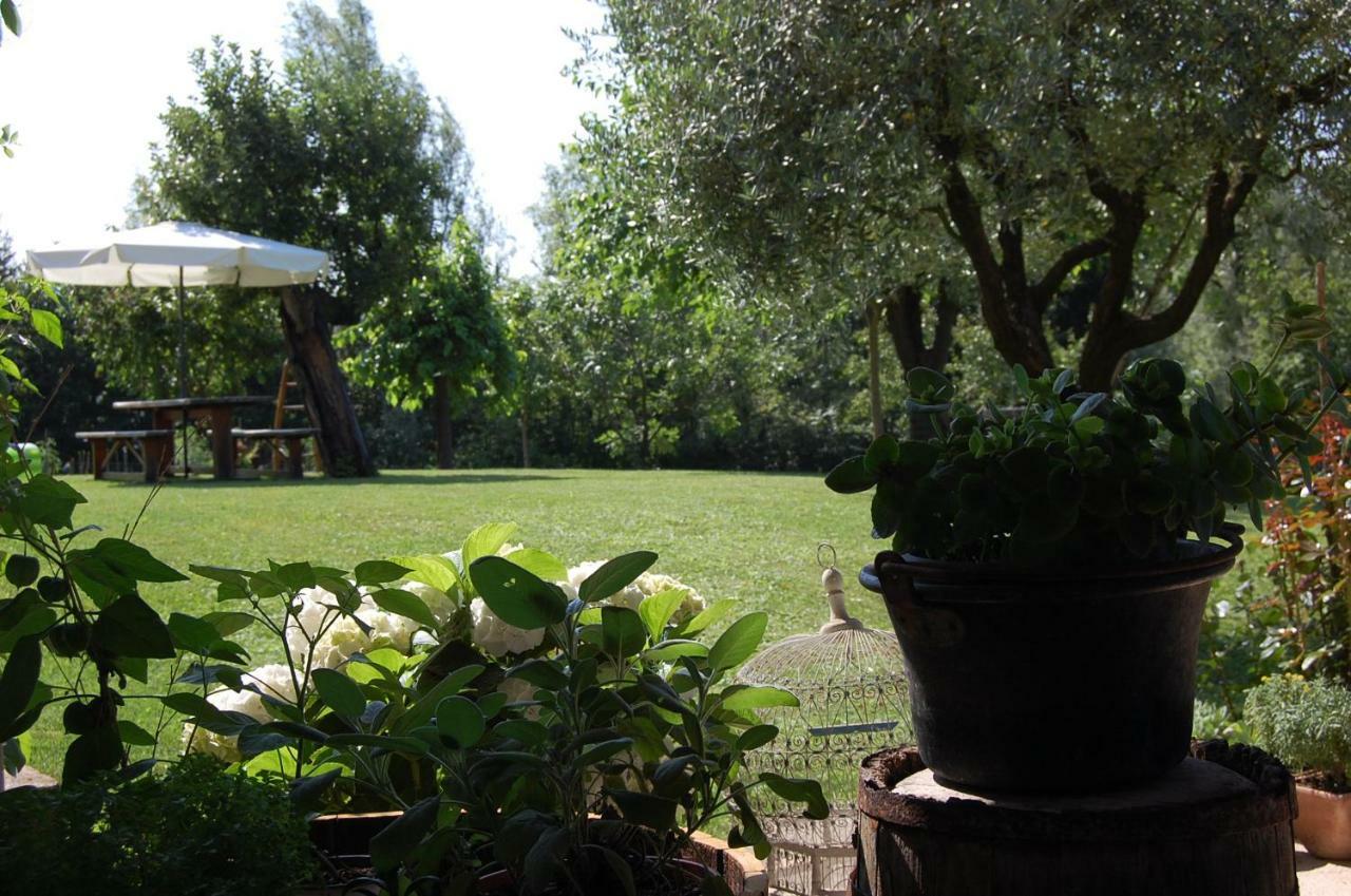 B&B Santa Fosca Pederobba ภายนอก รูปภาพ